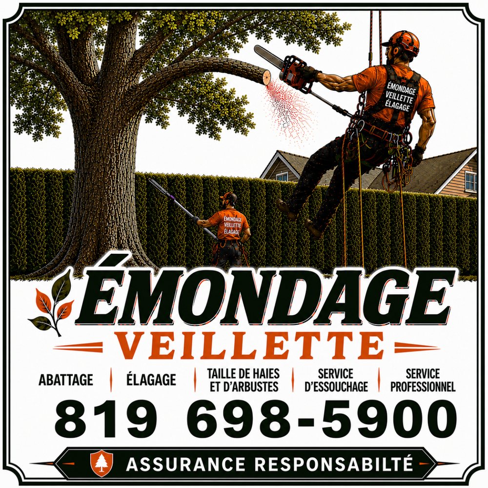 Émondage Veillette — abattage, élagage, taille de haies et d'arbustes, service d'essouchage. 819 698-5900.